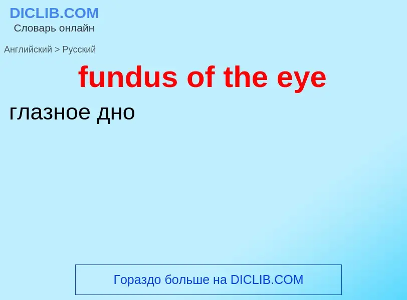 Μετάφραση του &#39fundus of the eye&#39 σε Ρωσικά