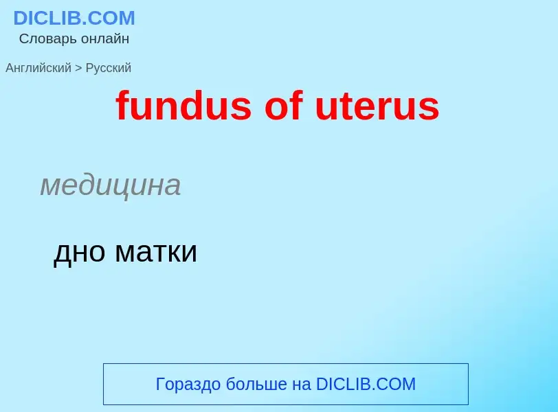 Μετάφραση του &#39fundus of uterus&#39 σε Ρωσικά