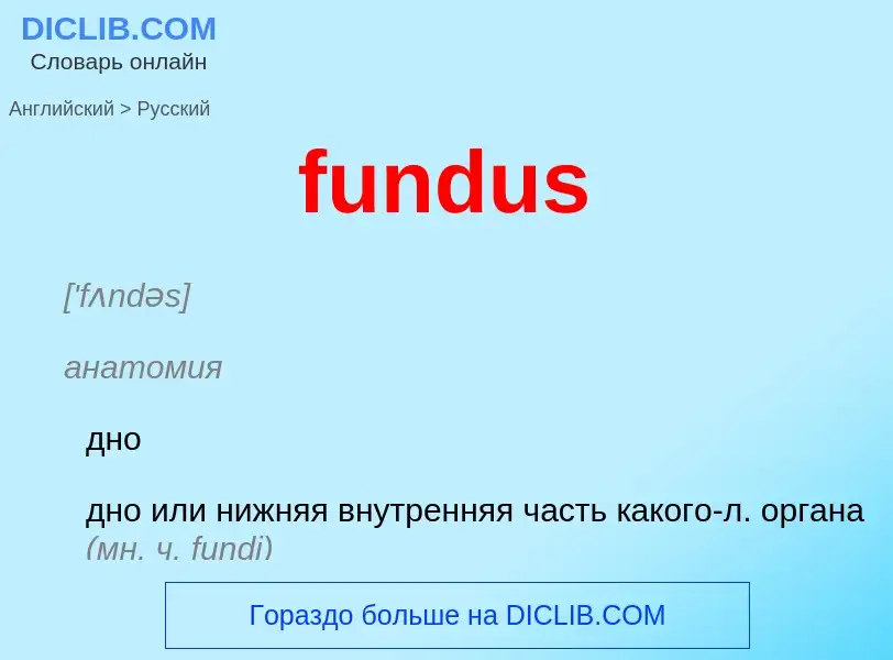 Μετάφραση του &#39fundus&#39 σε Ρωσικά