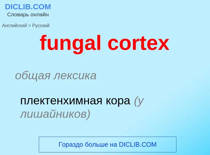 Traduction de &#39fungal cortex&#39 en Russe