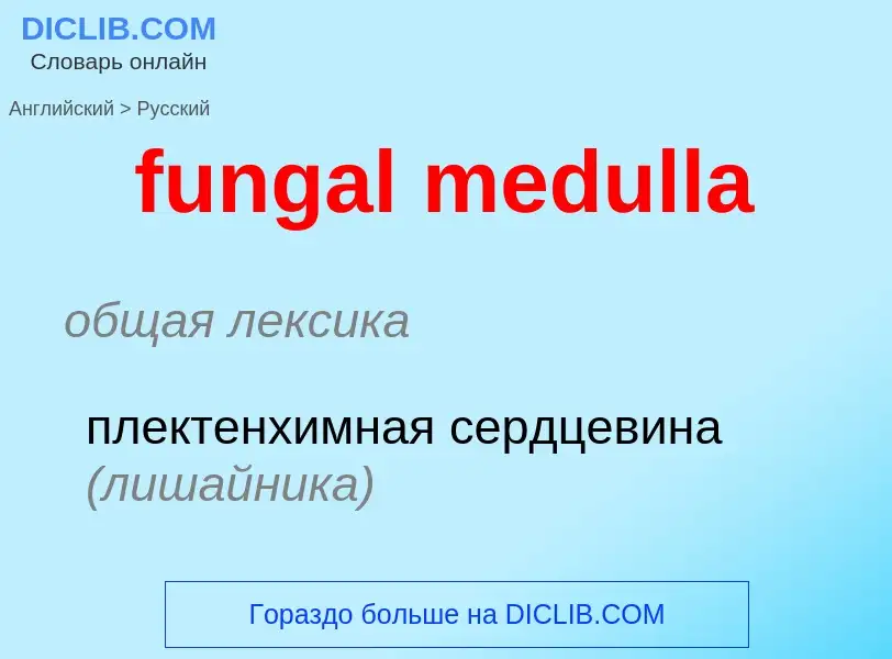 Μετάφραση του &#39fungal medulla&#39 σε Ρωσικά