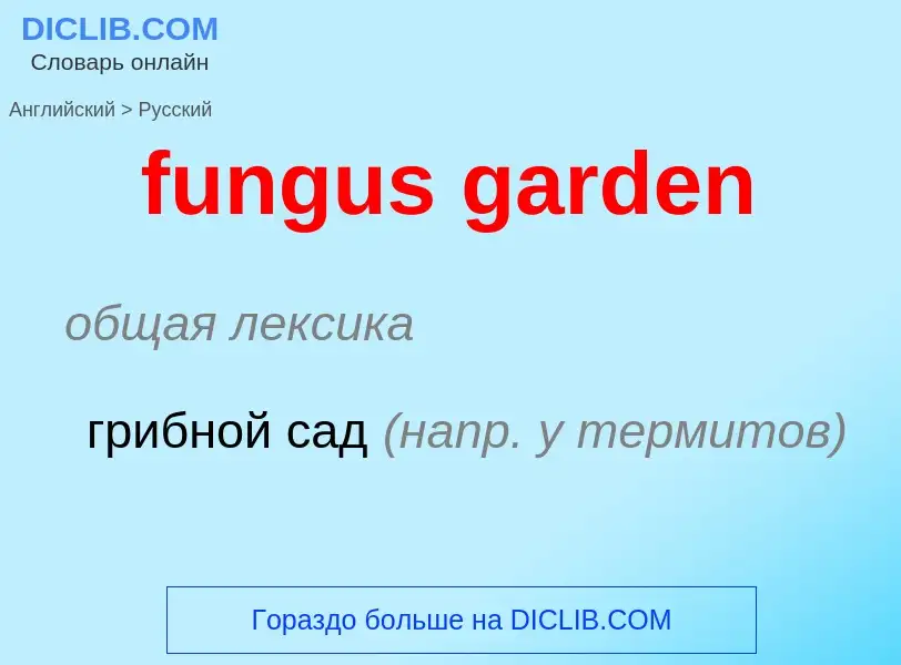 Μετάφραση του &#39fungus garden&#39 σε Ρωσικά