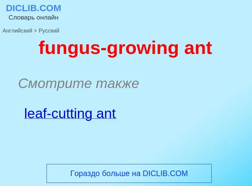 Μετάφραση του &#39fungus-growing ant&#39 σε Ρωσικά