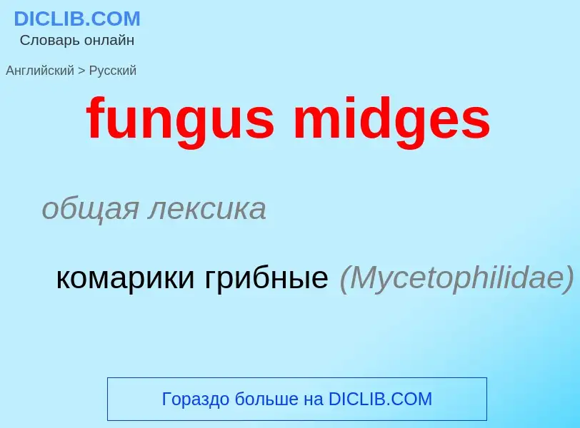 Μετάφραση του &#39fungus midges&#39 σε Ρωσικά