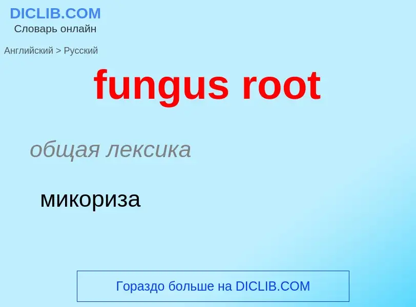 Traduction de &#39fungus root&#39 en Russe