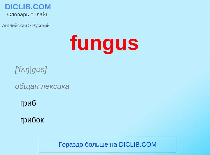 Μετάφραση του &#39fungus&#39 σε Ρωσικά