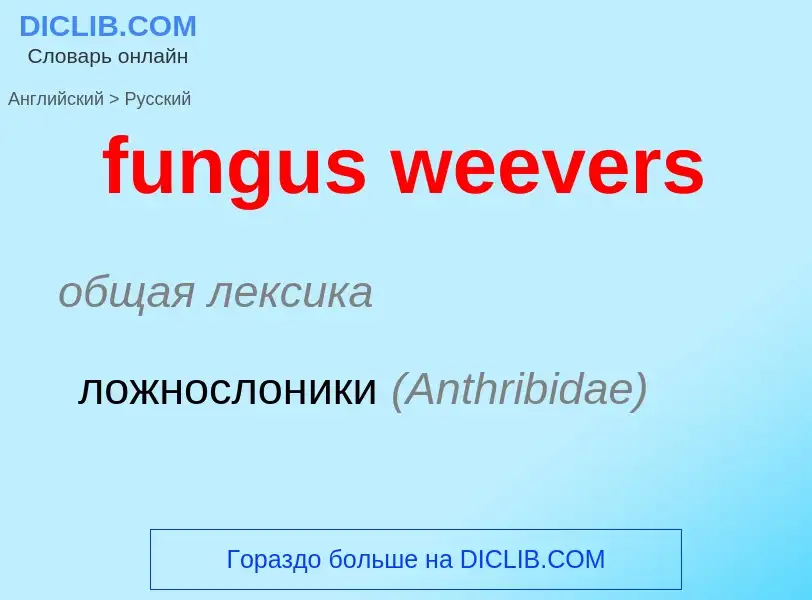 Μετάφραση του &#39fungus weevers&#39 σε Ρωσικά