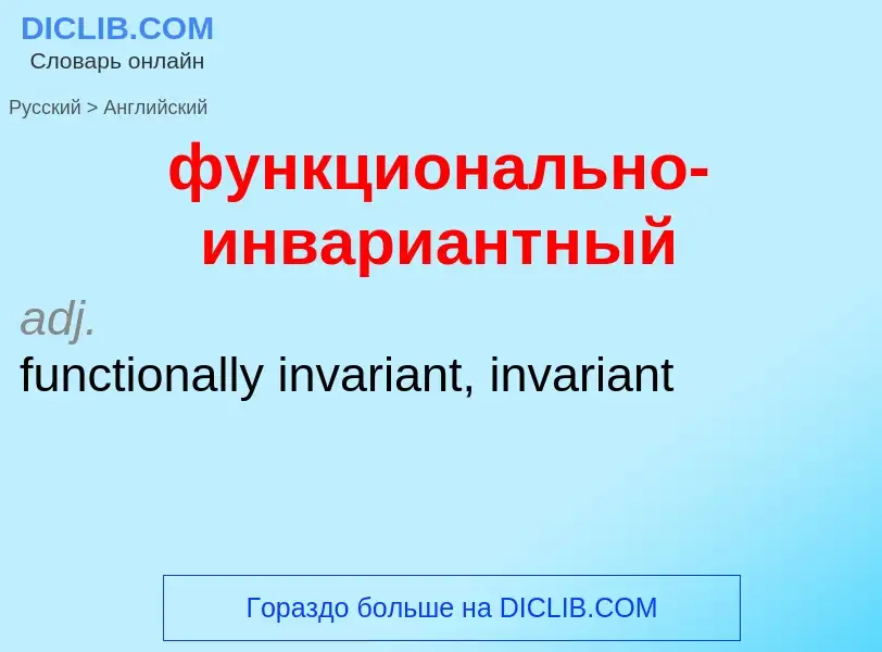 Как переводится функционально-инвариантный на Английский язык