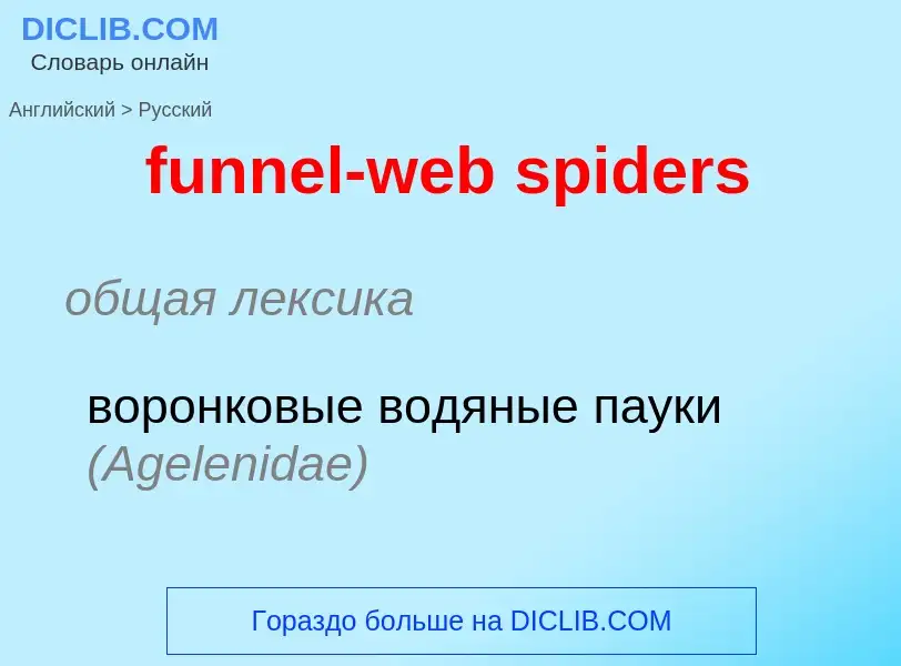 Μετάφραση του &#39funnel-web spiders&#39 σε Ρωσικά