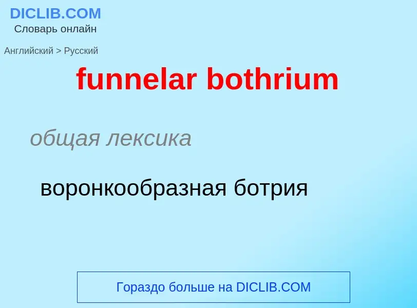 Traduction de &#39funnelar bothrium&#39 en Russe