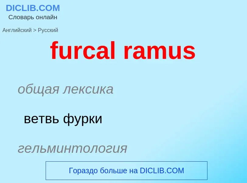 Μετάφραση του &#39furcal ramus&#39 σε Ρωσικά