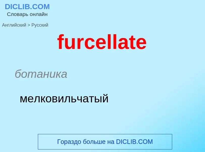 Traduction de &#39furcellate&#39 en Russe