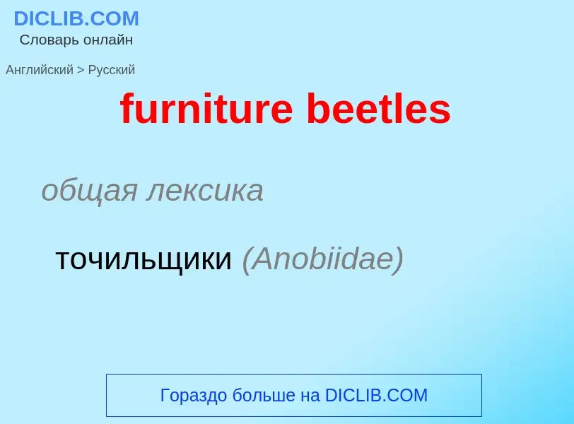 Como se diz furniture beetles em Russo? Tradução de &#39furniture beetles&#39 em Russo