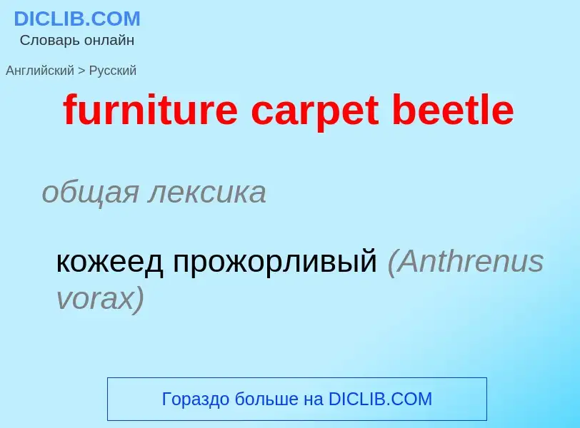 Como se diz furniture carpet beetle em Russo? Tradução de &#39furniture carpet beetle&#39 em Russo