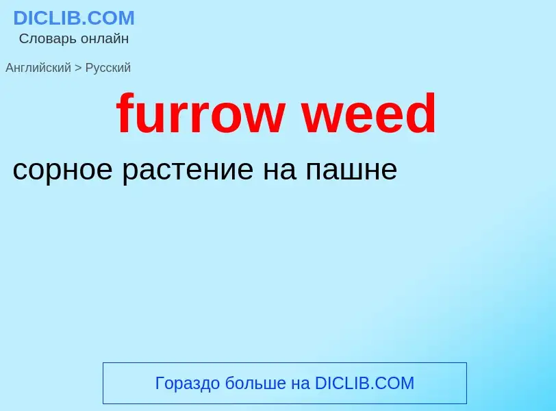 Μετάφραση του &#39furrow weed&#39 σε Ρωσικά