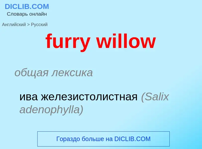 Μετάφραση του &#39furry willow&#39 σε Ρωσικά