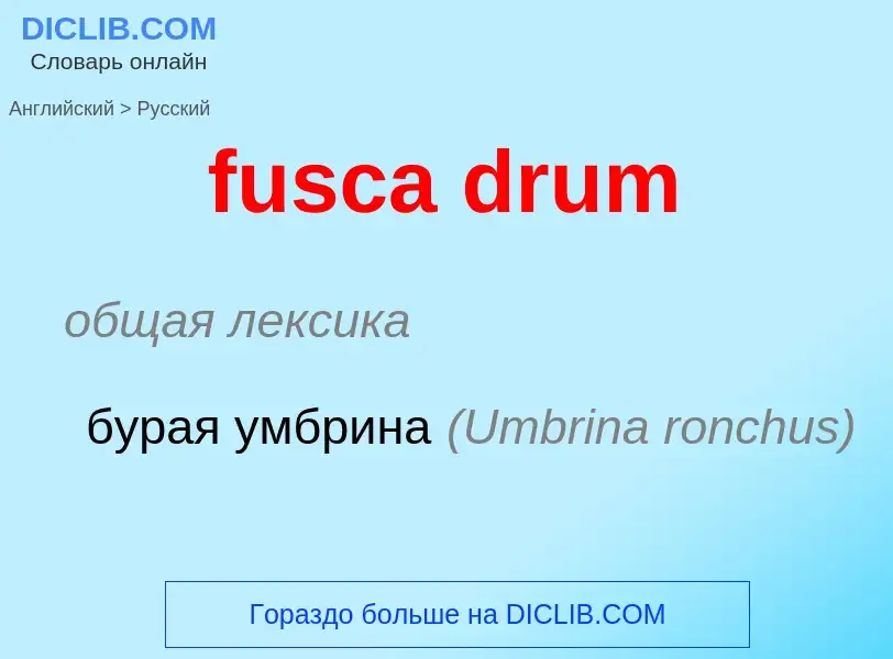 Μετάφραση του &#39fusca drum&#39 σε Ρωσικά