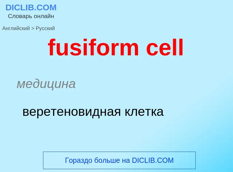 Как переводится fusiform cell на Русский язык