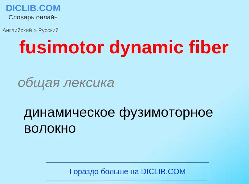 Как переводится fusimotor dynamic fiber на Русский язык