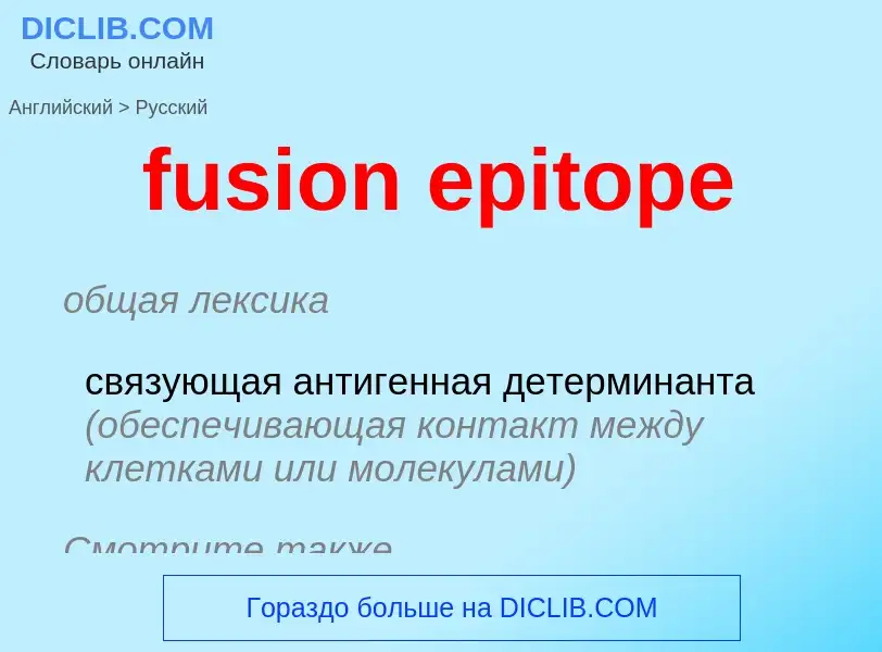 Как переводится fusion epitope на Русский язык