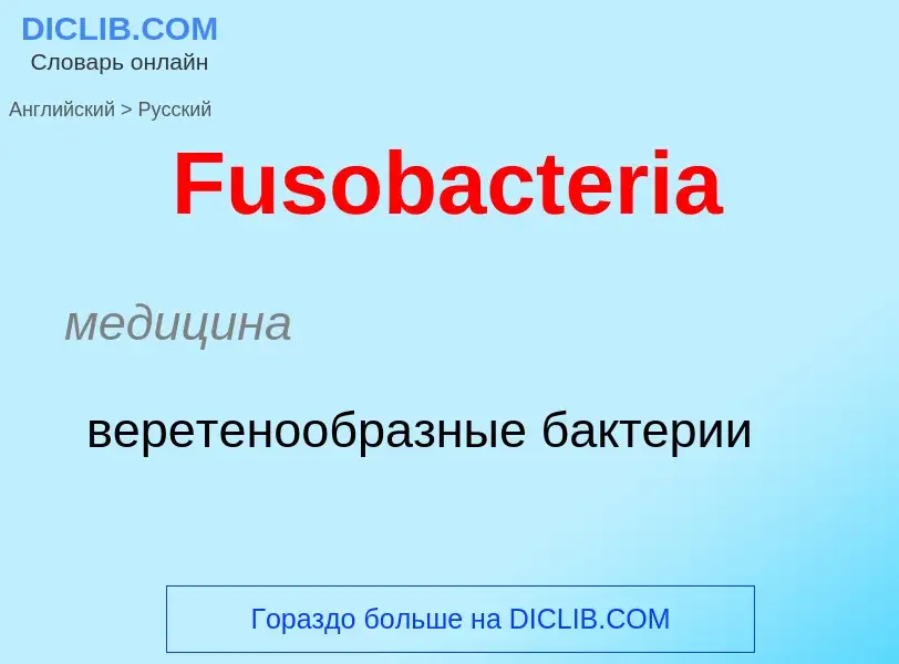 Как переводится Fusobacteria на Русский язык