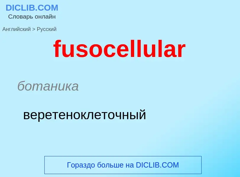 Как переводится fusocellular на Русский язык