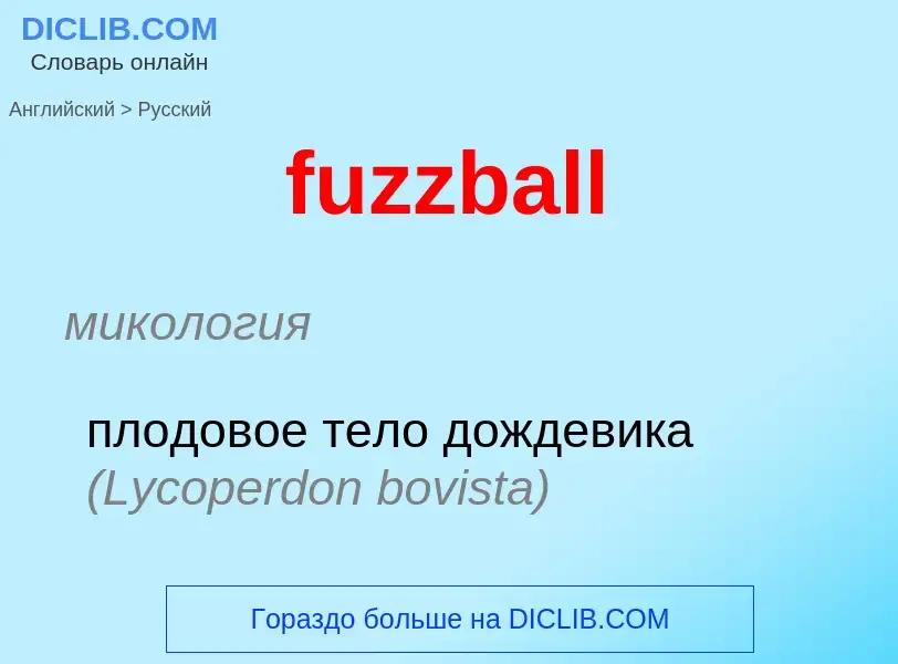 Como se diz fuzzball em Russo? Tradução de &#39fuzzball&#39 em Russo