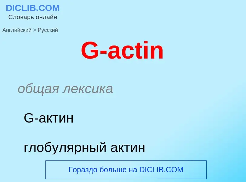 Μετάφραση του &#39G-actin&#39 σε Ρωσικά