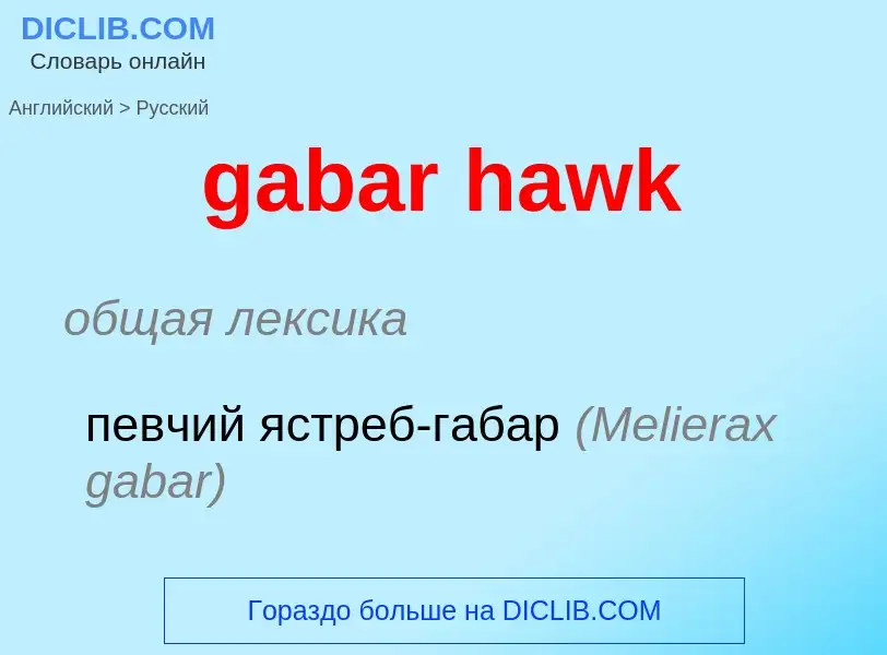 Как переводится gabar hawk на Русский язык