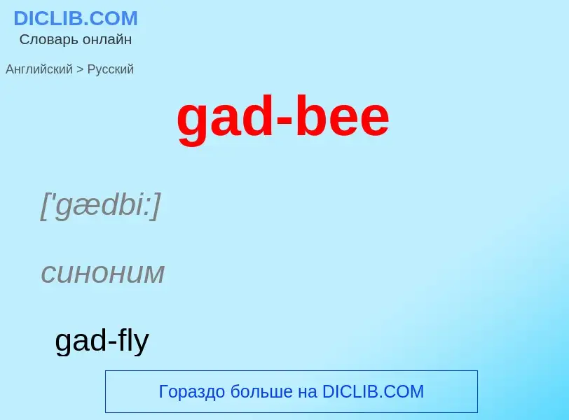 Как переводится gad-bee на Русский язык