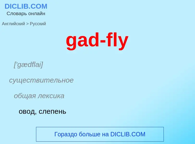 Как переводится gad-fly на Русский язык