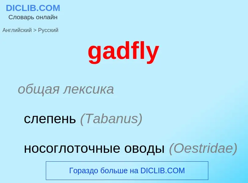 Как переводится gadfly на Русский язык