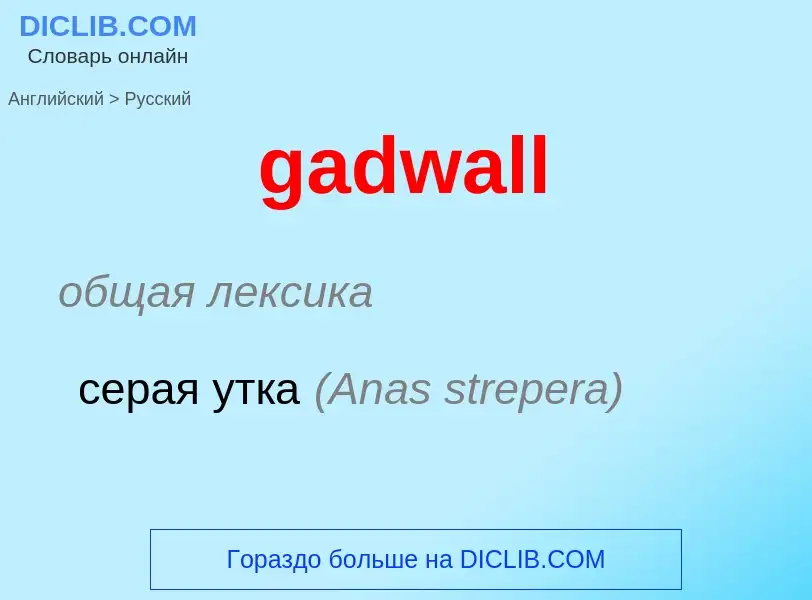 Как переводится gadwall на Русский язык