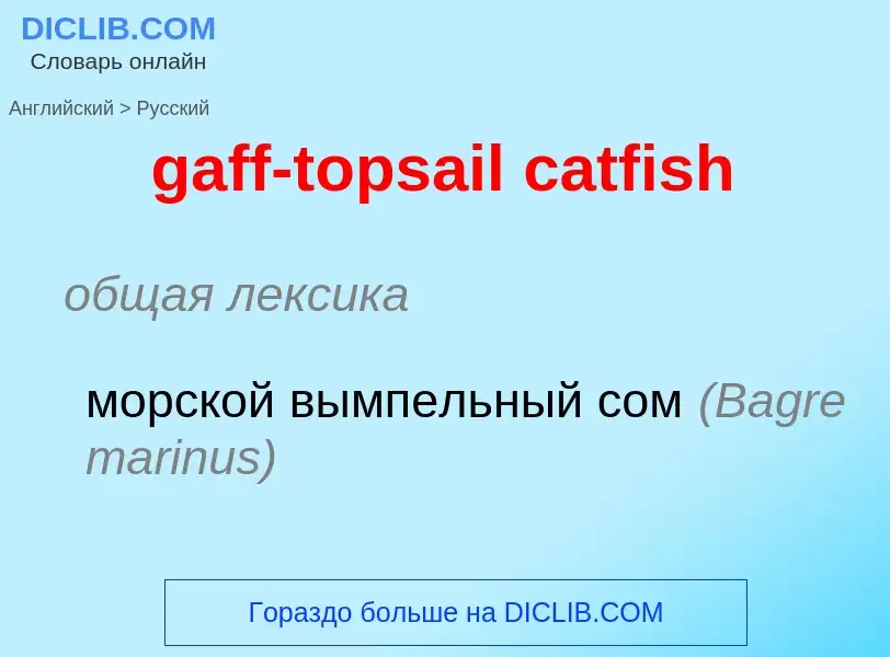 Как переводится gaff-topsail catfish на Русский язык