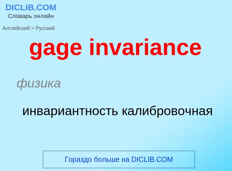 Как переводится gage invariance на Русский язык