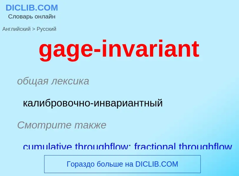 Как переводится gage-invariant на Русский язык