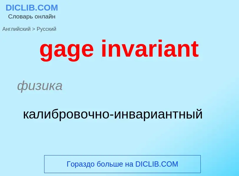 Как переводится gage invariant на Русский язык