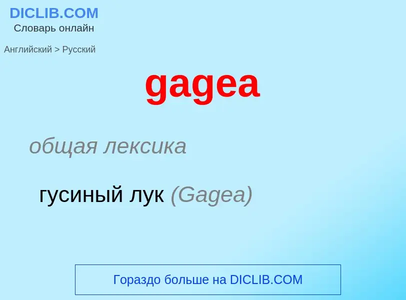 Как переводится gagea на Русский язык