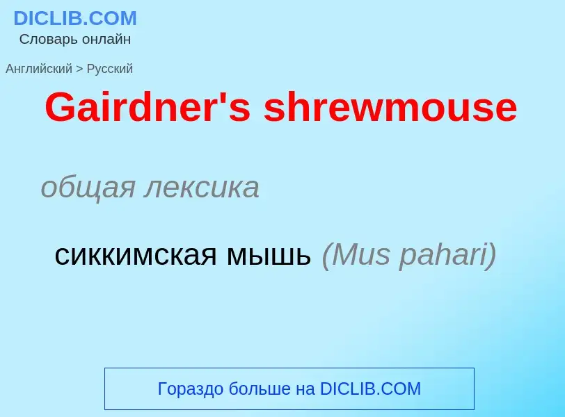 Как переводится Gairdner's shrewmouse на Русский язык