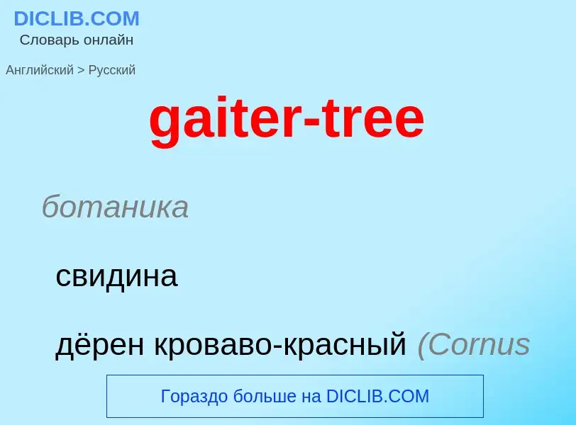 Как переводится gaiter-tree на Русский язык