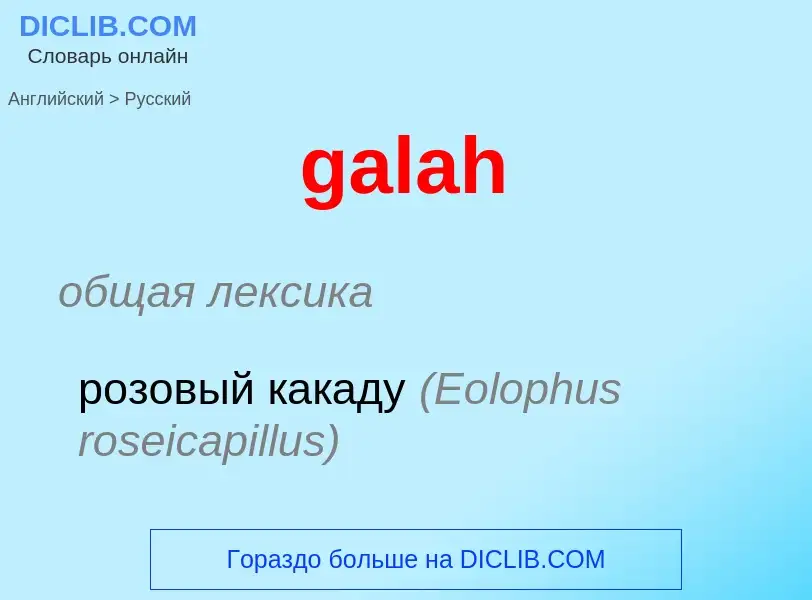 Как переводится galah на Русский язык