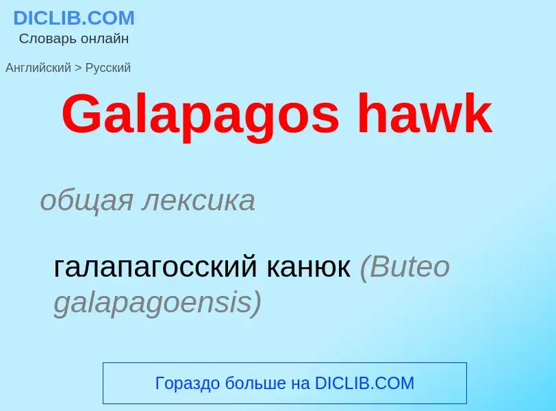 Μετάφραση του &#39Galapagos hawk&#39 σε Ρωσικά