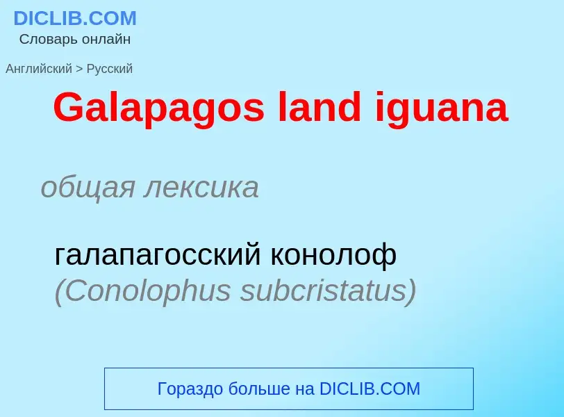 Μετάφραση του &#39Galapagos land iguana&#39 σε Ρωσικά