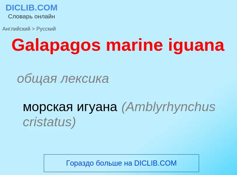 Μετάφραση του &#39Galapagos marine iguana&#39 σε Ρωσικά