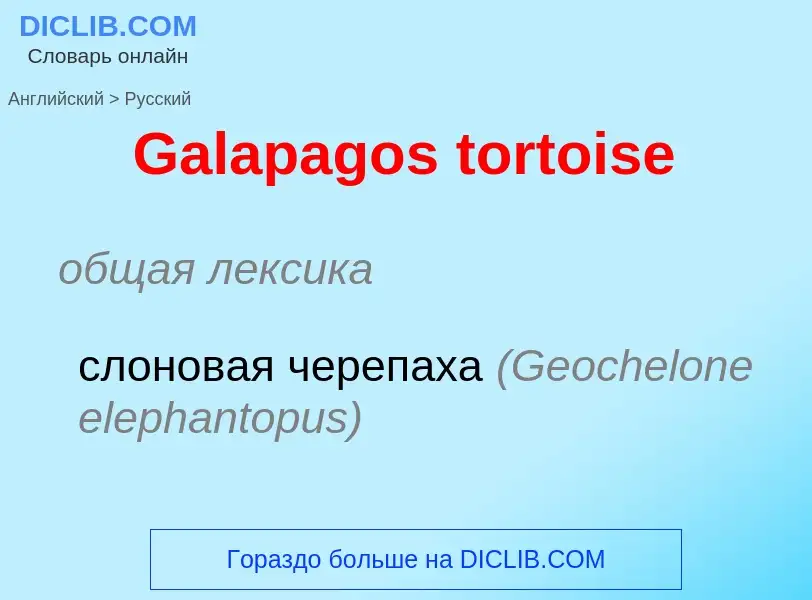 Μετάφραση του &#39Galapagos tortoise&#39 σε Ρωσικά