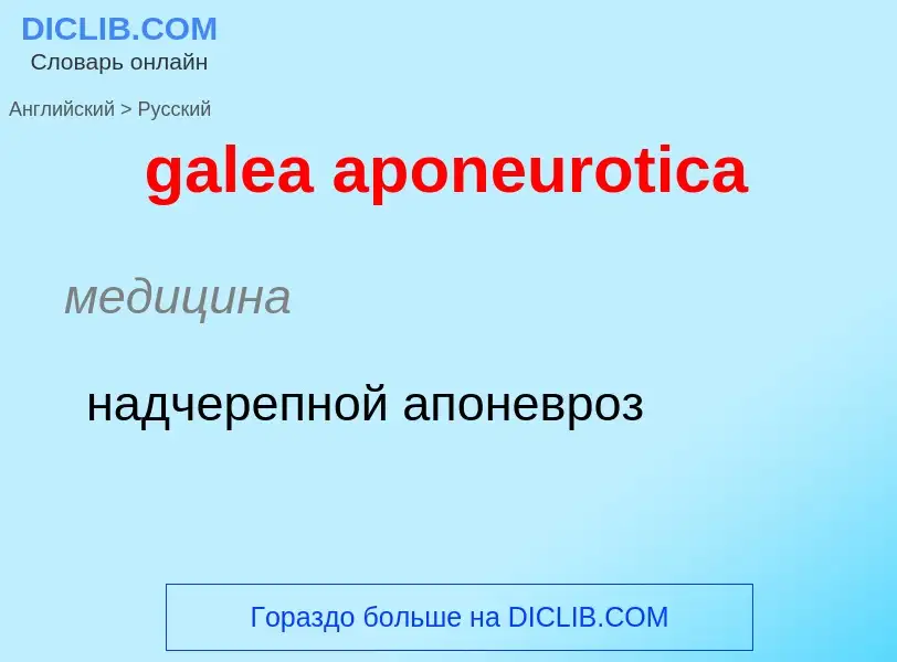 Как переводится galea aponeurotica на Русский язык