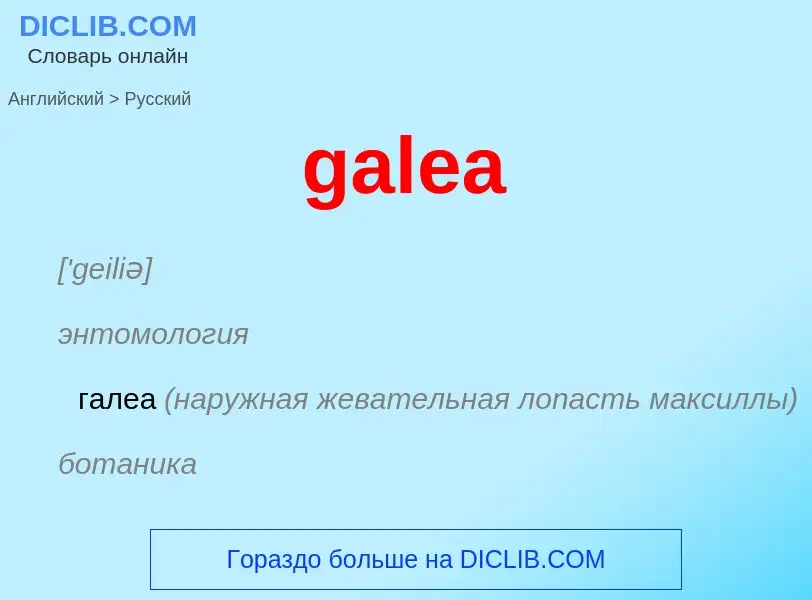 Как переводится galea на Русский язык