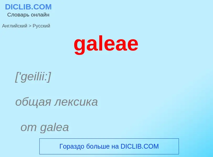 Как переводится galeae на Русский язык