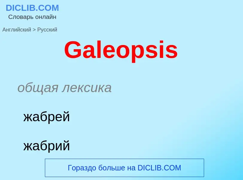 Μετάφραση του &#39Galeopsis&#39 σε Ρωσικά