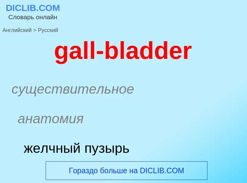 Как переводится gall-bladder на Русский язык